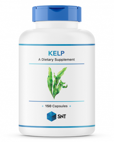 SNT Kelp